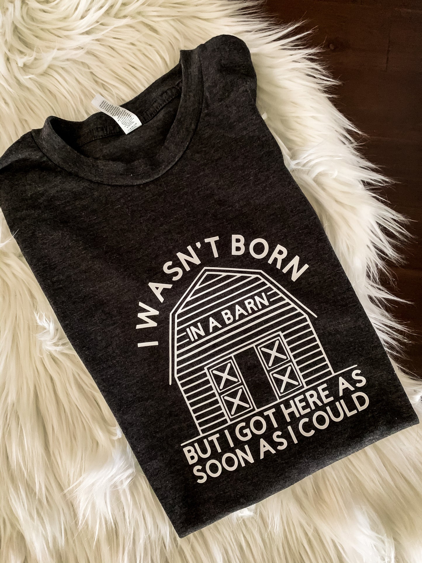 BORN IN A BARN (KIDS)